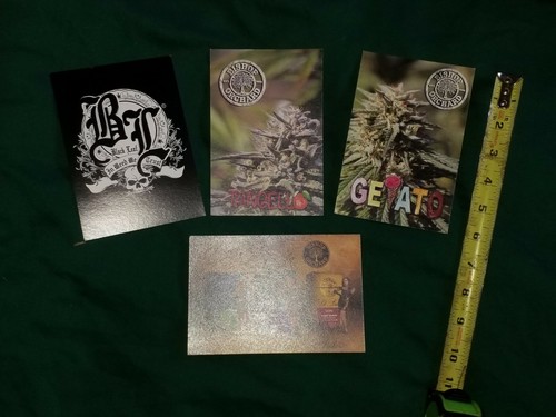 4 Cartoline Cannabis Inutilizzate Da Collezione Pubblicità Promo Souvenir Marijuana - Foto 5 di 7