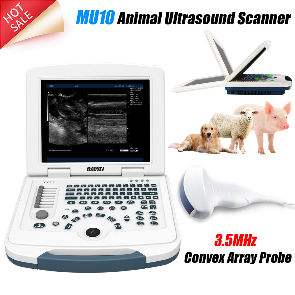 DAWEI Laptop Vet Ultrasound Machine Scanner Convex For Horse,Cow,Large Animals