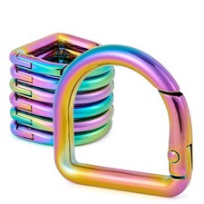 10 Pcs Metal Spring D Rings Carabiner Key Ring Clips for Keychain Buckle Purse