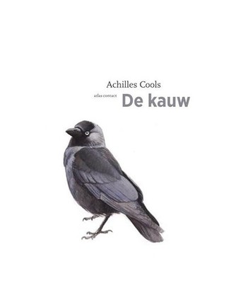 De kauw, Achilles Cools