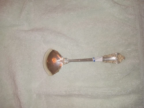 6"Silver Gravy Ladle EX