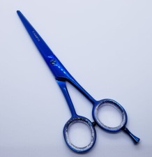 6 Inch Professional Salon Barber Hair Cutting Scissors Shears Stainless Steel SS