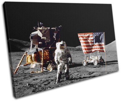 NASA Apollo USA Flag Astronaut Moon Space SINGLE Leinwand Kunst Bild drucken