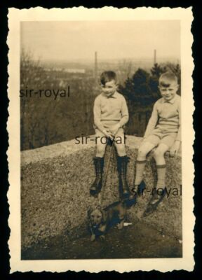 Zwei Jungs mit Dackel - 1930er - Teckel Dachshund Hund - Foto 6x9cm