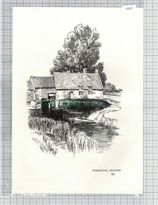 (8557) Lyddington Rutland - ca. 1980er Steckling