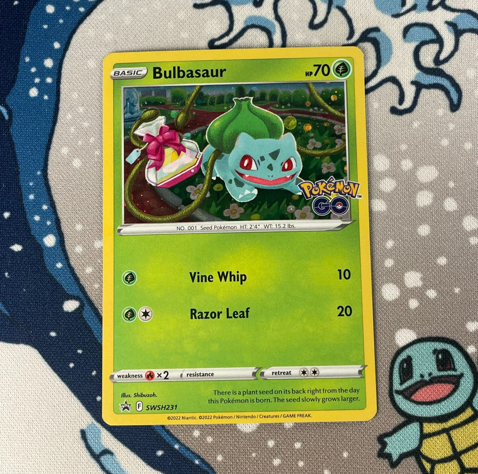 Bulbasaur SWSH231 Black Star Promo Holo Rare Sword & Shield Pokemon Card NM/LP