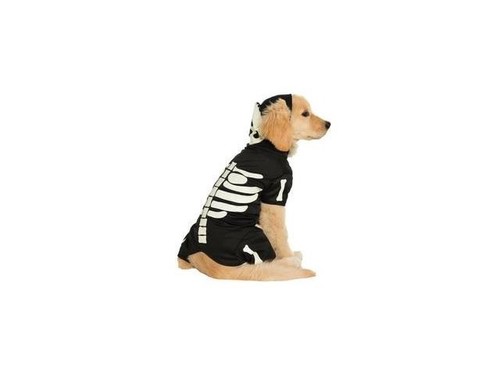 skeleton hoodie dog