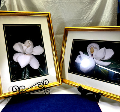 VTG Framed NC Mountain Laurel Photo Prints Set of 2 View Finder Photography