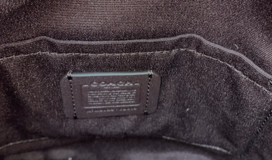 Borsa a tracolla Coach Addie in pelle in pelle orchidea viola in pelle di ciottoli C2814 Nuova con etichette