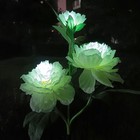 Bild 6 von 28