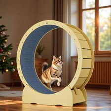 42" Cat Exercise Wheel for Indoor Cats with Detachable Carpeted Runway Quiet Toy