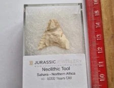 Stunning Neolithic Flint Tool   SW Sahara  2cm  - A GRADE - NICELY PRESENTED