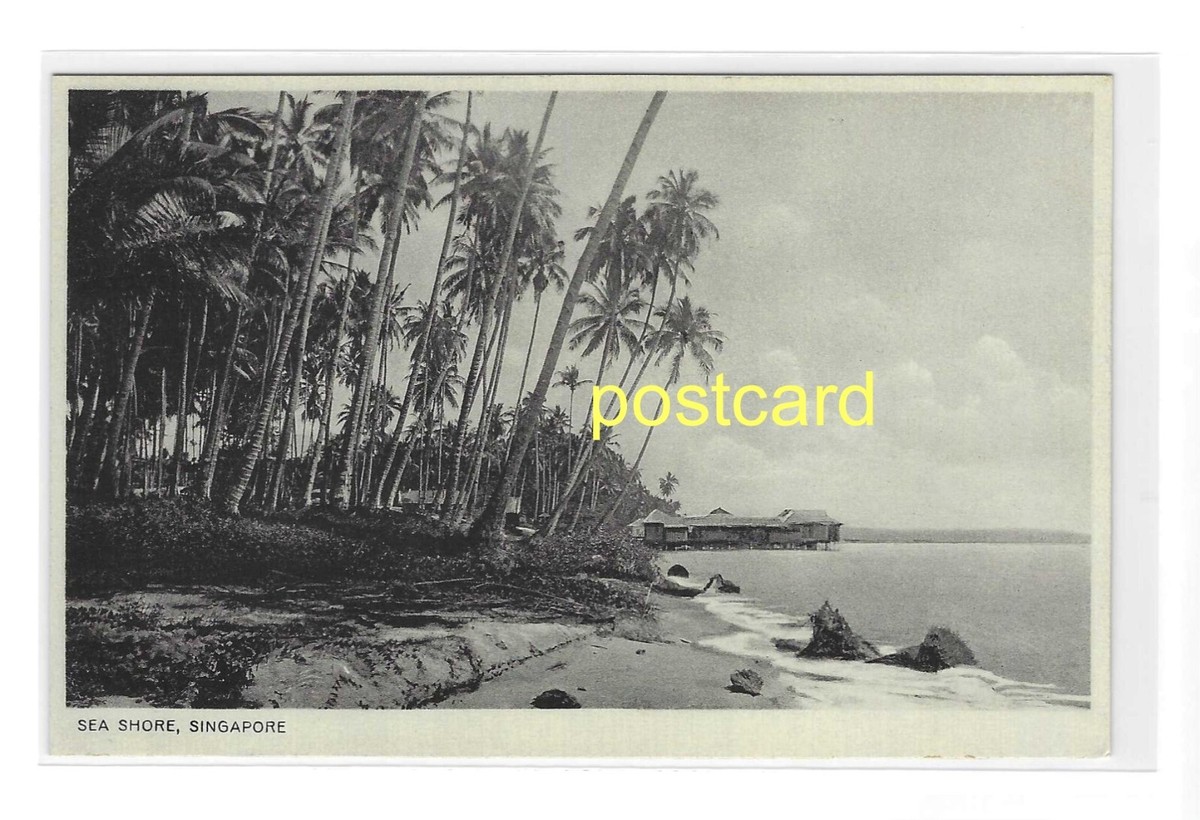 その他 scenery post cards of singapore SINGAPORE - SEA SHORE. OLD POSTCARD c.1910 #1355. | eBay