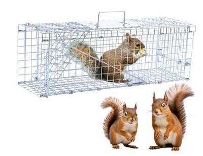 24'' Live Animal Trap, Humane Animal Trap for Stray Cats up to 5.5 pounds, 