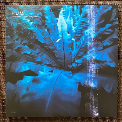 HUM Downword is Heavenward レコード Amazon.com: Downward Is Heavenward: CDs & Vinyl