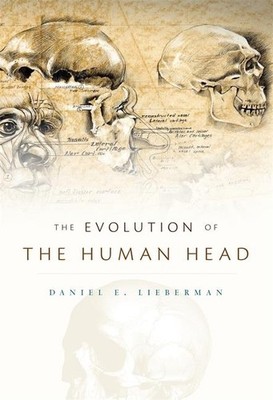 Evolution of the Human Head | Daniel E. Lieberman | englisch