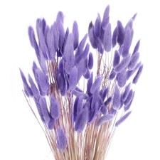120 St&uuml;ck Nat&uuml;rliche Kaninchenh&auml;schen-Schw&auml;nze Getrocknete Blumen 24" , Lila