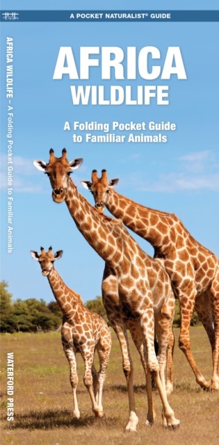 Africa Wildlife by James Kavanagh (Pamphlet)