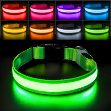 Light up Dog Collar for Night Walking - LED Dog Collar Light Rechargeable Color