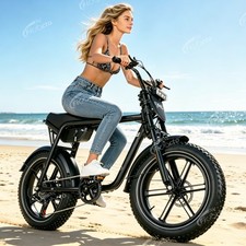 eBIKE 20 Zolll Elektrofahrrad Damen/Herren SUV EBIKE 48V15AH Akku Fat Tire …