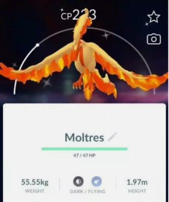 Pokémon - Shiny Moltres Galarian - P T C -Please see description