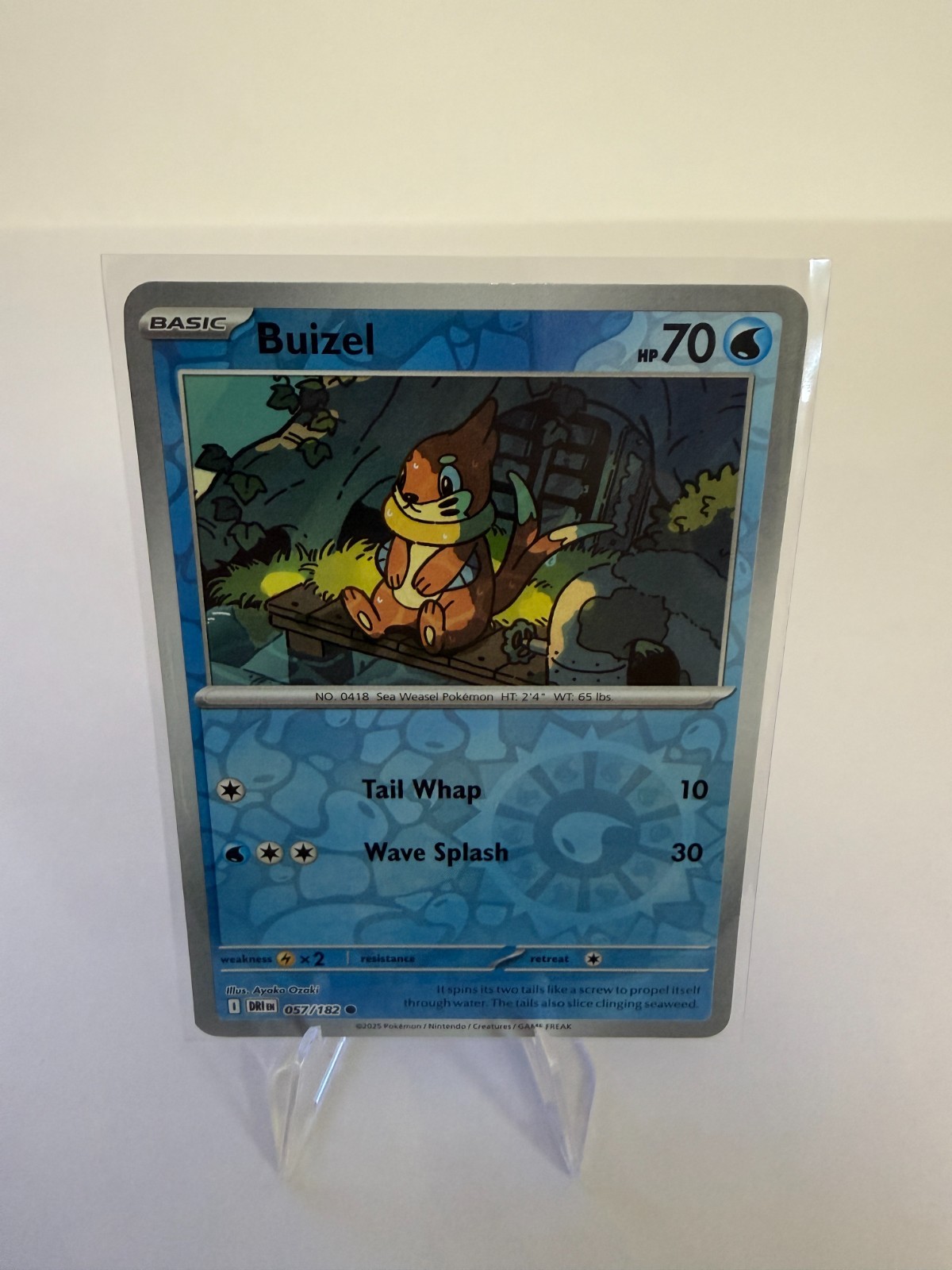 Buizel 057/182 Reverse Holo Pokemon Destined Rivals NM