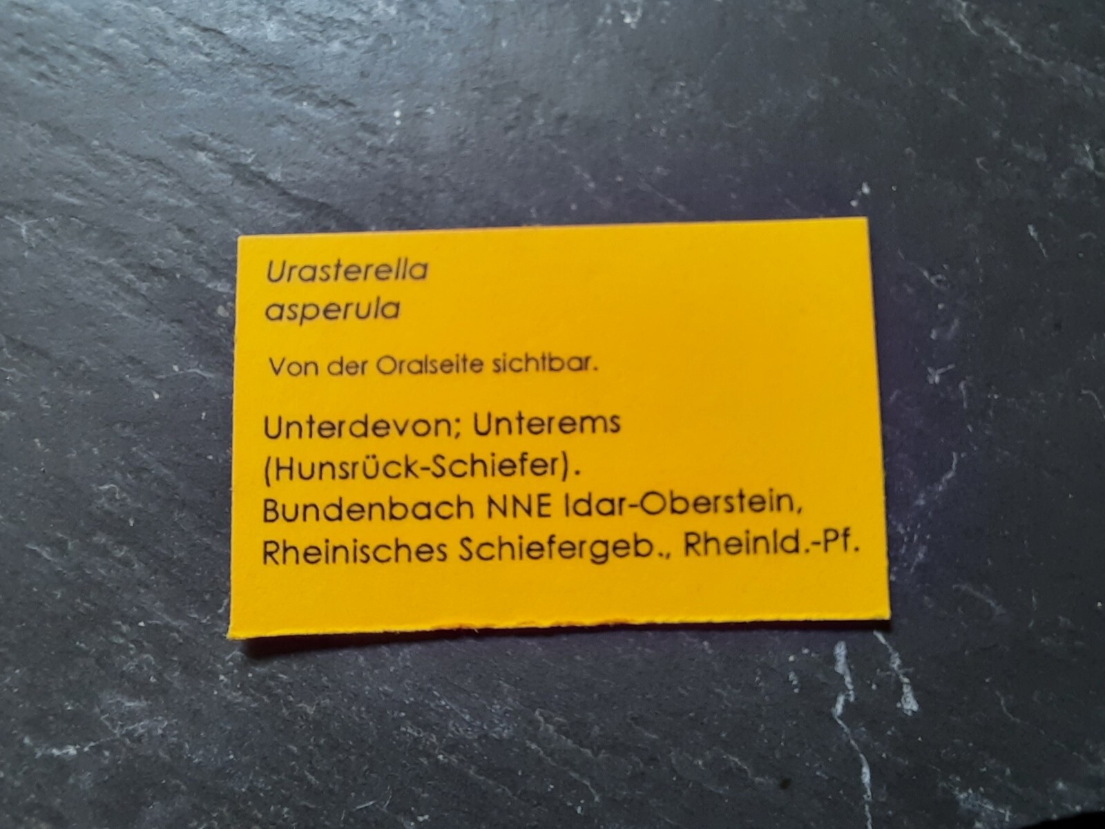 Bild 4 von 4
