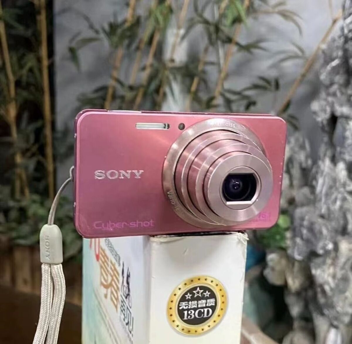 SONY Cyber-shot DSC-W570 Pink 5x Zoom Digital Camera + SONY Cyber-shot DSC-W570 Pink 5x Zoom Digital Camera +