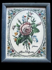 Vintage J Thomas Framed Engraving Rosa Sulfurea Signed 11.5x9.5
