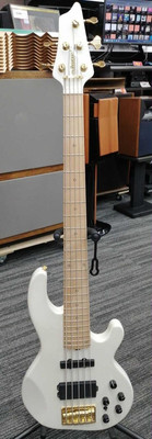 EDWARDS E-ALBION (TETSUYA model) Used Ash body Maple neck White w