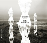 George Enescu - Enesco Trios - Cd - G4Z