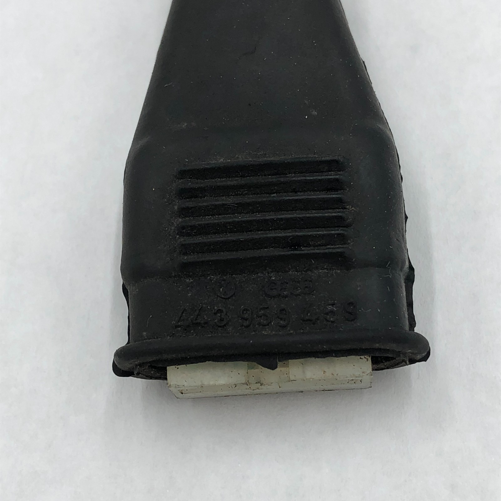 Picture 4
