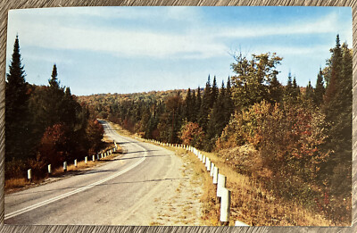 Greetings From York Bridge Ontario, Canada Postcard Road Fall Foliage Scene