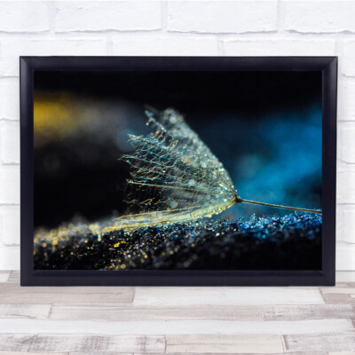 Makro Pusteblume Bokeh hellblau kalte Samen Wandkunstdruck