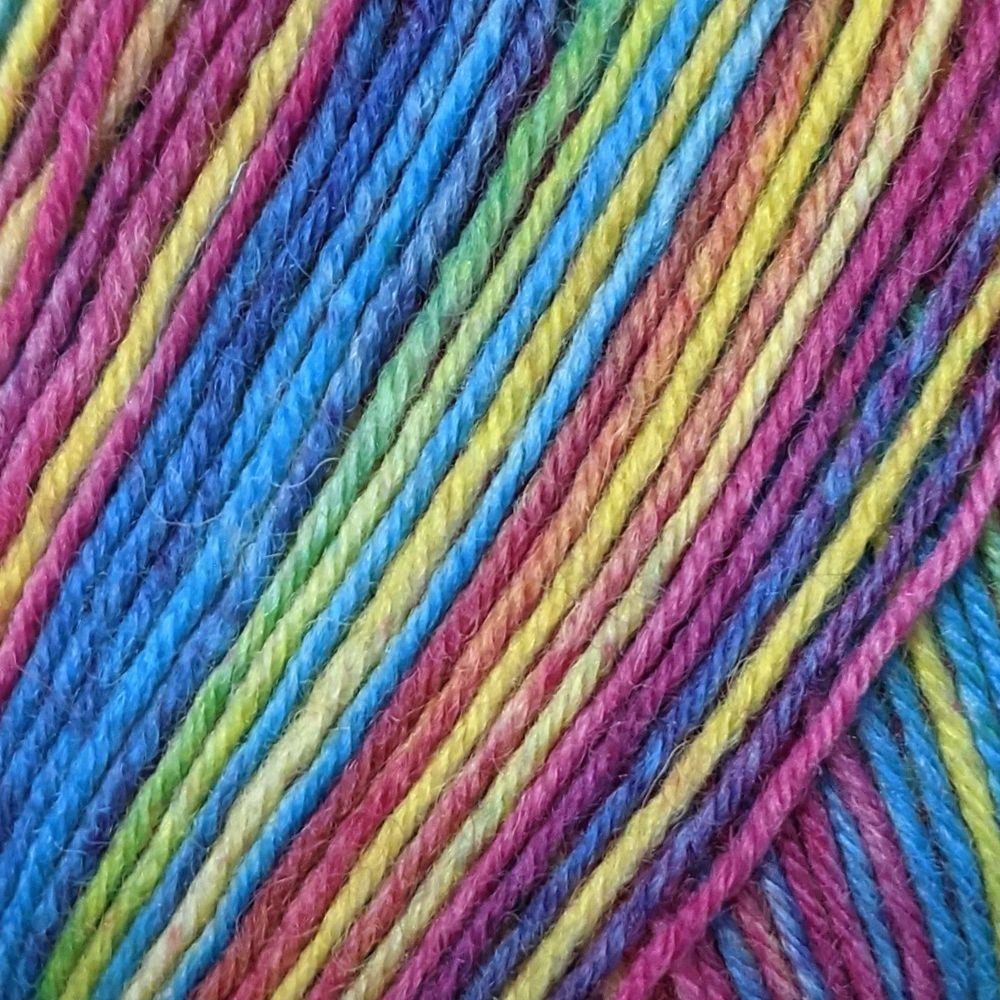 Schoeller & Stahl Fortissima Color (2487) 4ply 100g Sock 4ply Knitting Yarn Wool
