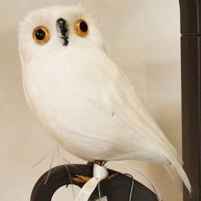 Puebco Künstlicher Vogel Eule weiß seitlich zugewandt Schleiereule Hedwig 