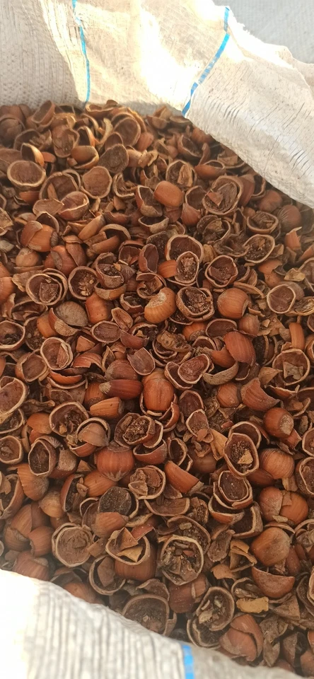 STUFA A PELLET TEST ALTERNATIVA CON GUSCI DI NOCCIOLA LEGGERE DESCRIZIONE BIO