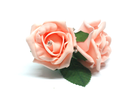 Bild 75 von 121