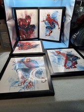 Spider-Man Wall Art In Black Picture Frame