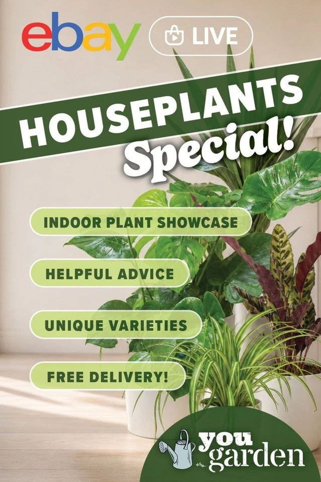 🪴YouGarden Houseplants Special!🪴
