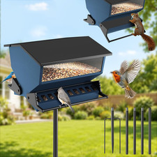 Metal Squirrel Proof Bird Feeder with Pole Set, 7 LB Capacity