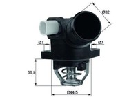 Mahle Thermostat FüR KüHlmittel / KüHlerthermostat Tm 32 103