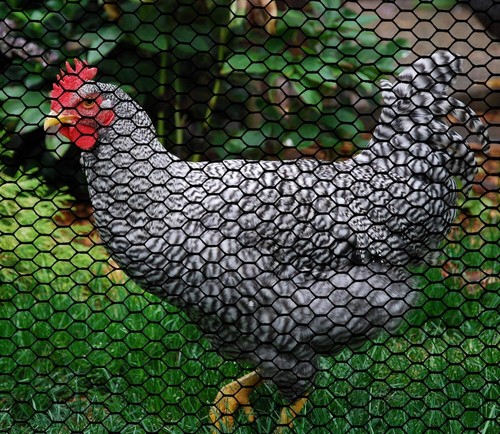 Plastic Hex Chicken Wire Mesh Temporary Fence Roll 4' x 75' - Black - Plastic... - Picture 7 of 8