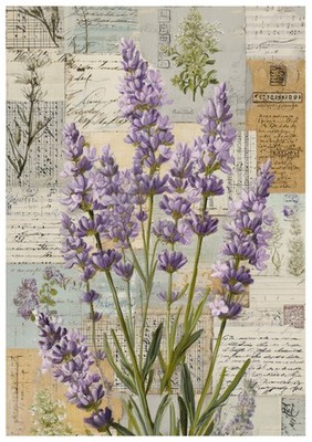 Reispapier-Motiv Strohseide-Decoupage-Lavendel-Lavender-Vintage-200657