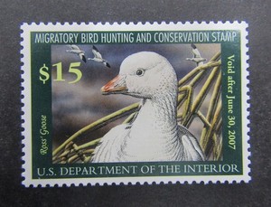 nystamps US Duck Stamp # RW73 Mint OG NH             L10x1858