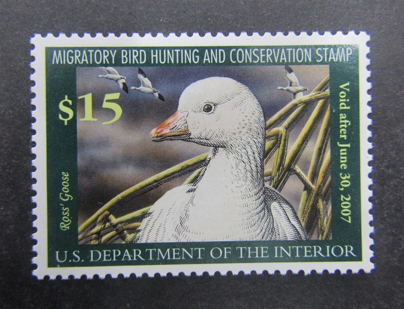 nystamps US Duck Stamp # RW73 Mint OG NH             L10x1858
