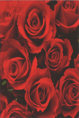 RED Series New 2023 Image Card 4x6'' B3004 Red Roses Up Close Tops