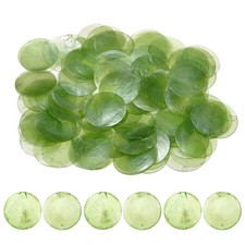 100-Pack Round Shells Pieces, 2 Inch Natural Shells for Crafts Green