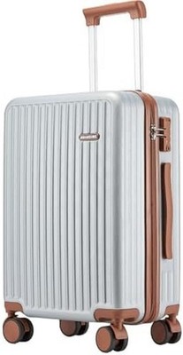 20'' Silver Carry-On Luggage with Leather Handle & TSA Locks, Spinner Wheels 