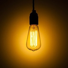 SQUIRREL CAGE EDISON LIGHTBULB 240V 60W E27